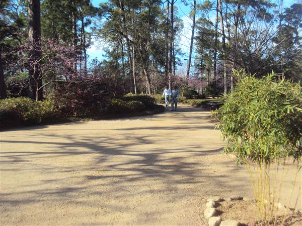 Japanese Garden in Hermann Park (3/7/2013)