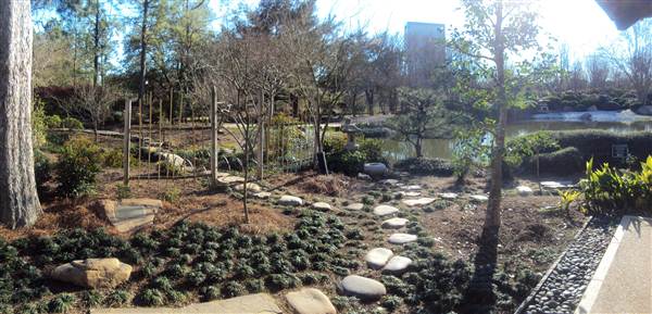 Japanese Garden in Hermann Park (3/7/2013)