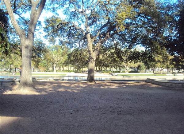 Japanese Garden in Hermann Park (3/7/2013)