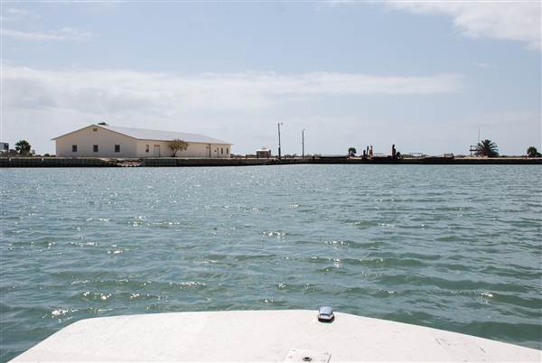Matagorda Island (4/4/2013)