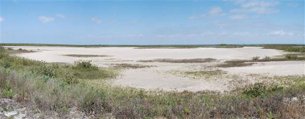Matagorda Island (4/4/2013)
