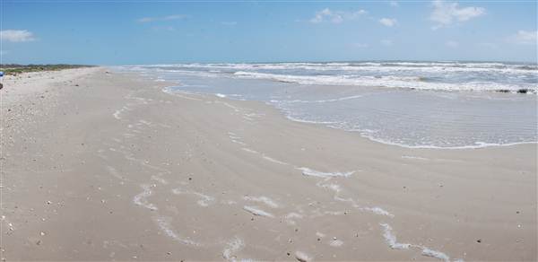 Matagorda Island (4/4/2013)