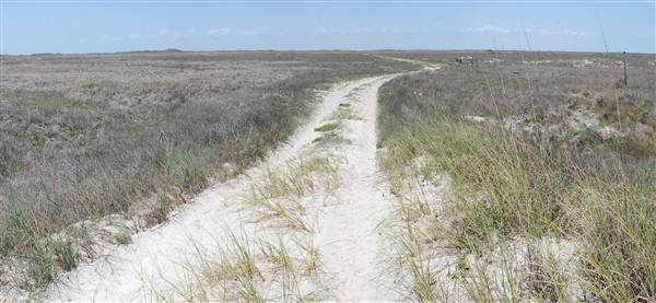 Matagorda Island (4/4/2013)