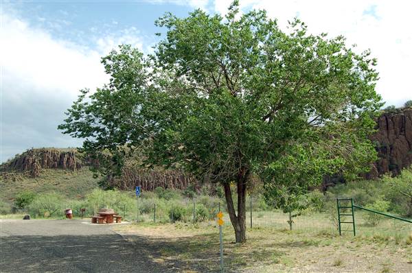 Hwy 118 South of Fort Davis (6/30/2013)