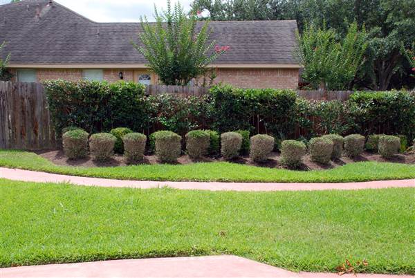 Vats House (5/31/2012)