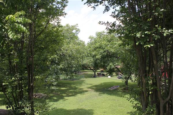 Ward House (6/19/2014)