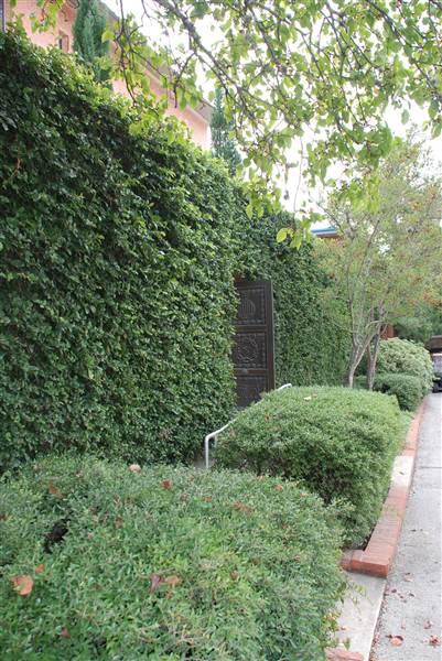 Trinity University (10/22/2014)
