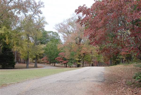 Davey Dogwood Park (11/13/2014)
