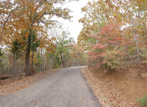Davey Dogwood Park (11/13/2014)