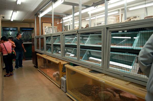 Animal World and Snake Farm (1/19/2015)