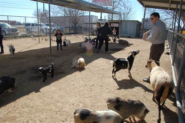 Animal World and Snake Farm (1/19/2015)