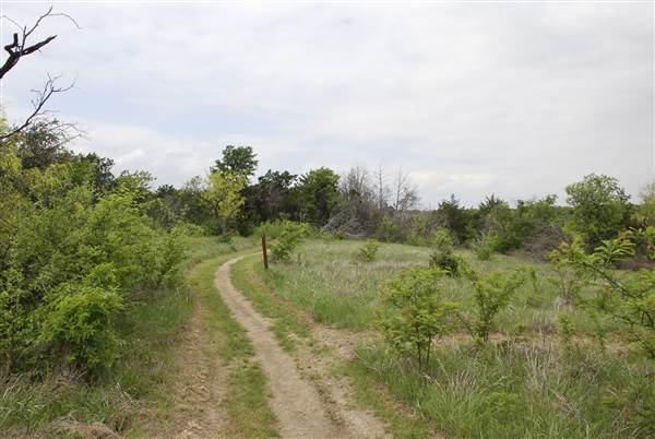 Cedar Hill State Park - Talala Trail (4/15/2015)