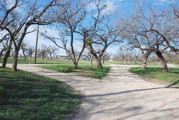 Lake Sweetwater Municipal Park (3/25/2015)