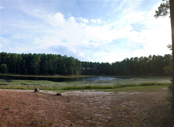 Faulkner Park (10/7/2015)