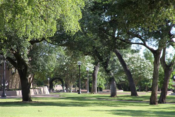 McLennan Community College (1/12/2016)