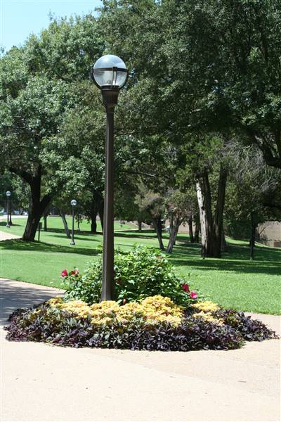 McLennan Community College (1/12/2016)