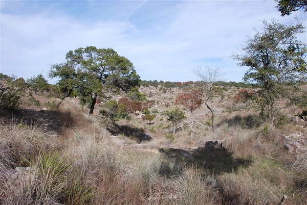 Longhorn River Ranch (12/9/2015)