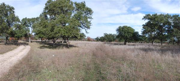 Longhorn River Ranch (12/9/2015)
