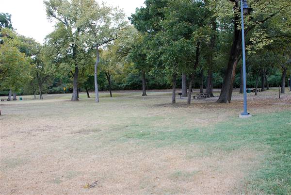 Cameron Park (10/21/2015)