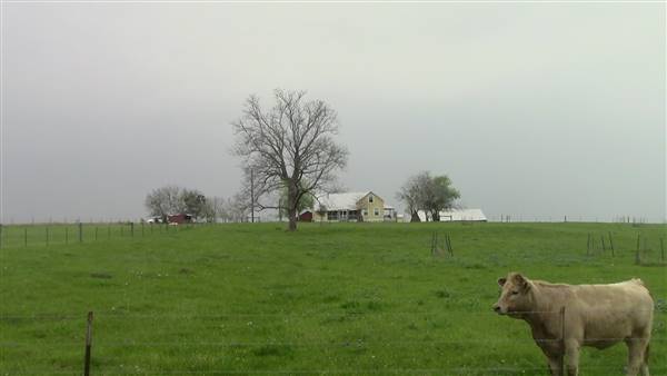Maeshill Farm (4/18/2016)
