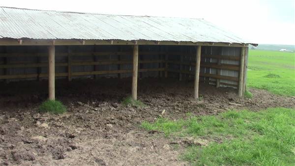 Maeshill Farm (4/18/2016)