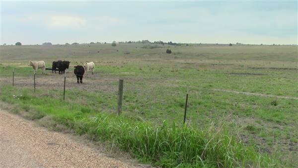 Maeshill Farm (4/18/2016)