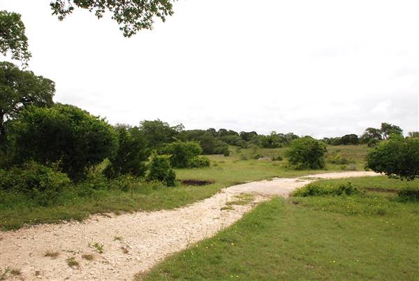 Storm Ranch (5/10/2016)