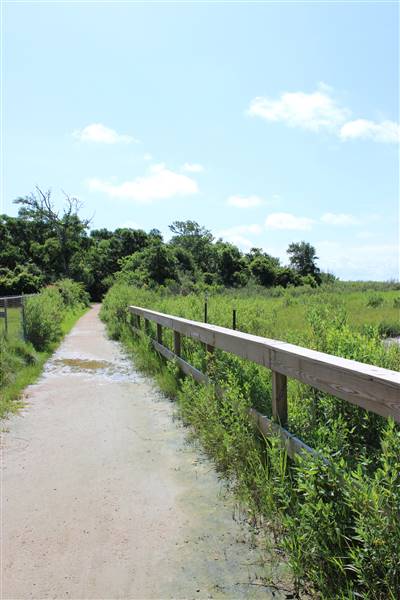 Seabrook Hike & Bike Trails (6/16/2016)
