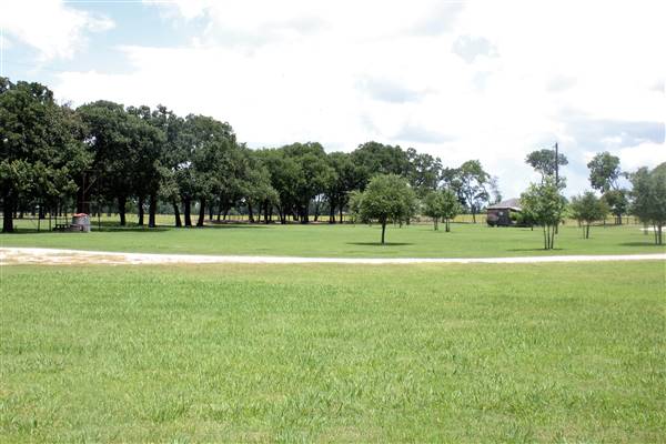 Cottonwood Terrace (7/28/2016)
