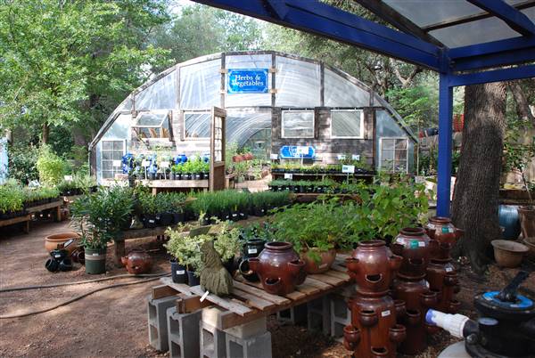 Hill Country Water Gardens & Nursery (8/11/2017)