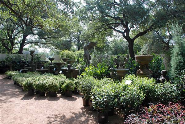 Hill Country Water Gardens & Nursery (8/11/2017)