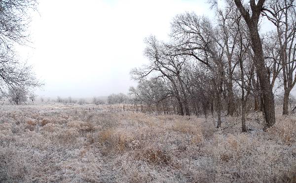 Mendota Ranch (12/13/2007)