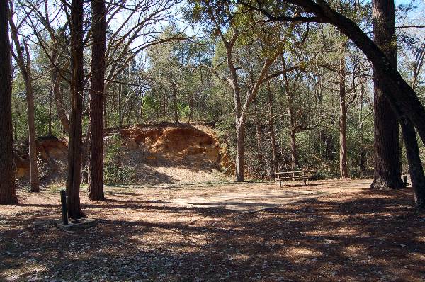 Buescher State Park (2/26/2008)