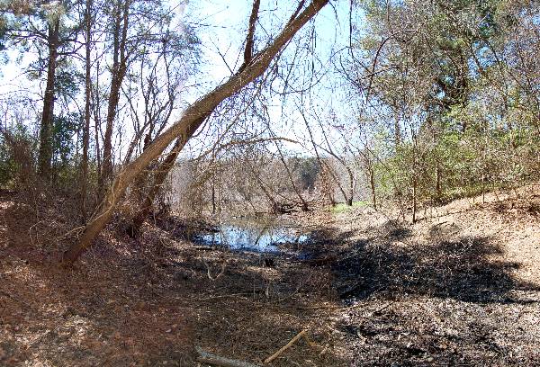 Buescher State Park (2/26/2008)