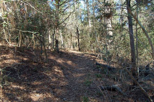 Buescher State Park (2/26/2008)