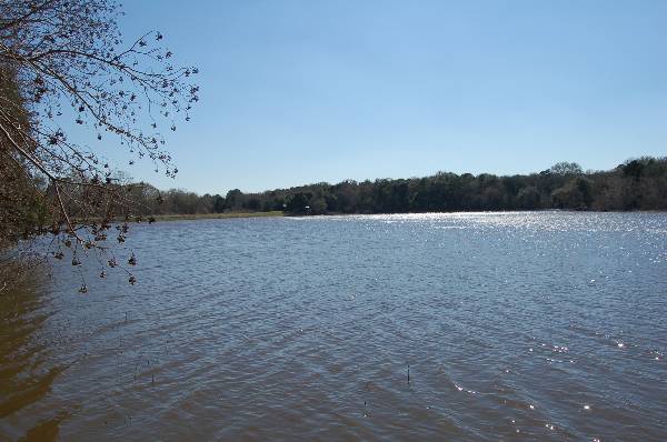 Buescher State Park (2/26/2008)