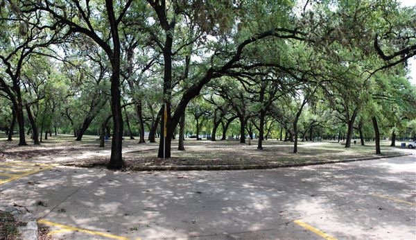 Olmos Basin (7/5/2018)