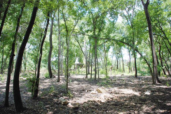 Judson Nature Trails (7/5/2018)