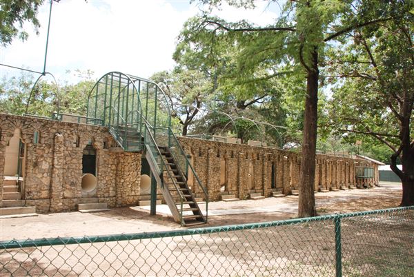 Brackenridge Park (7/5/2018)