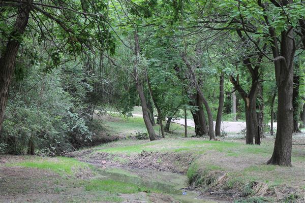 Pecan Creek Trail (8/31/2018)