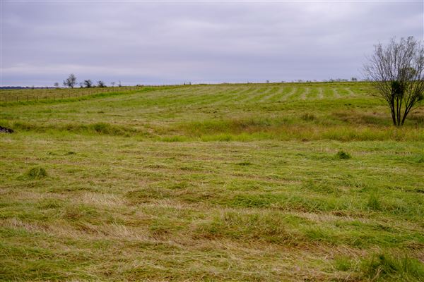 Dockery Ranch (1/4/2019)