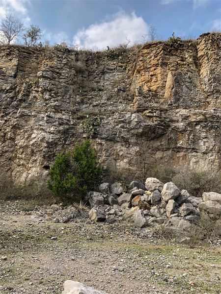 Patterson Ranch (1/4/2019)