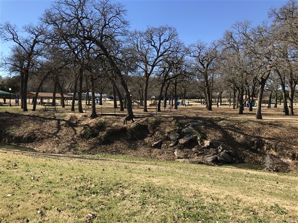 West City Park (3/12/2019 - Credits: Rose Jordan)