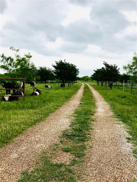 Obregon Ranch (5/14/2019 - Credits: Jariah Obregon)