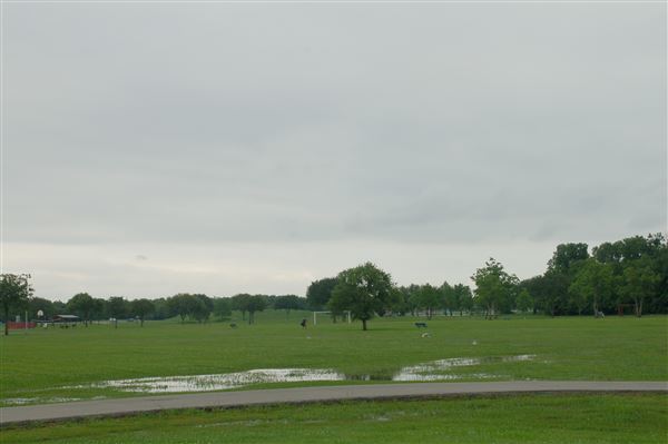 Kitty Hollow Park (5/10/2019)