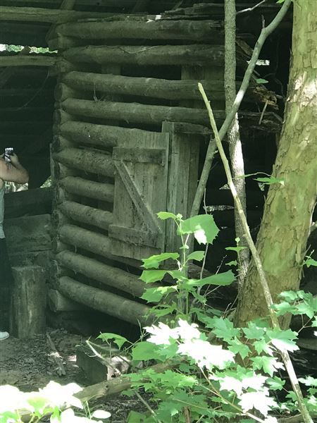 Historic Grove House (11/9/2019 - Credits: Lisa Jackson)