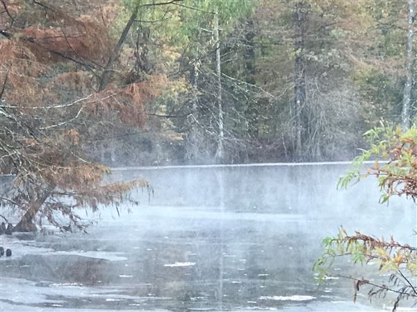 Historic Grove House (11/9/2019 - Credits: Lisa Jackson)