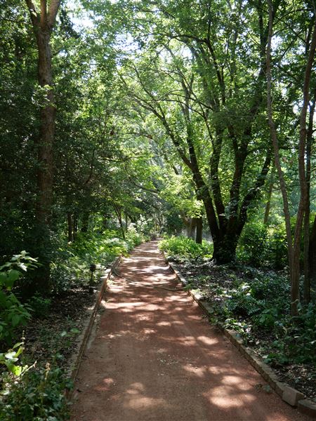 Clark Gardens Botanical Park (7/16/2019)