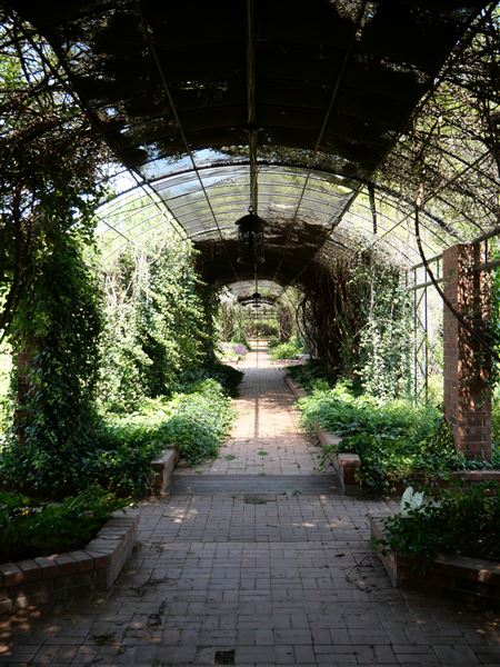 Clark Gardens Botanical Park (7/16/2019)
