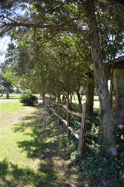 Cedar Isle Ranch (6/8/2020 - Credits: Mexia EDC)